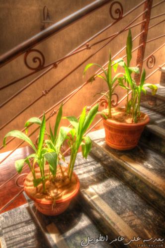 friends_4641352201_o