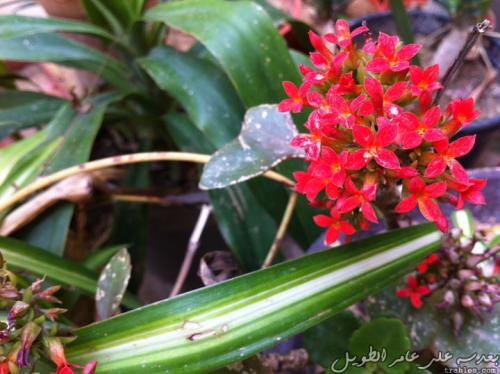 friends_7098909985_o