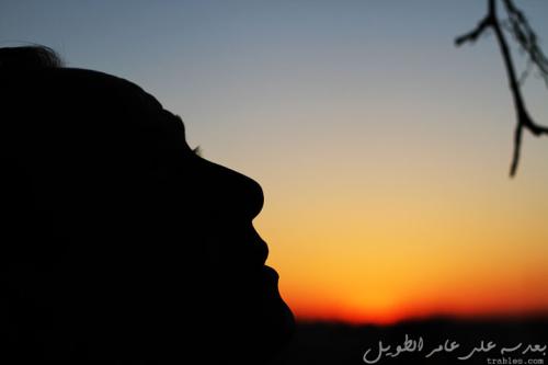 high-hopes_6998338553_o