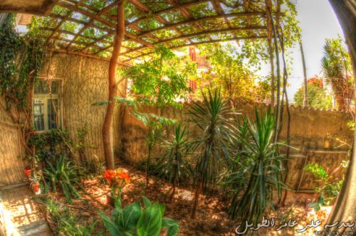 home-garden_4630978063_o