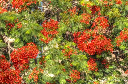 hot--cold_5020898404_o