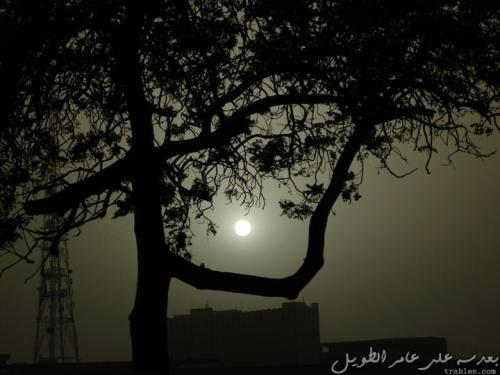 hot-moon_4920190718_o