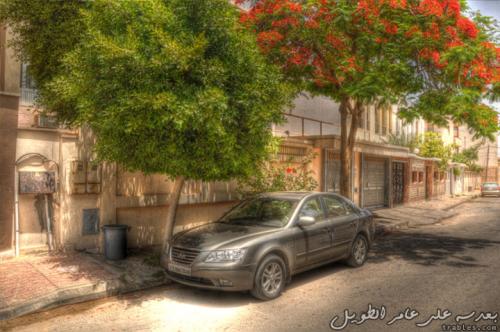 korean-beauty_4641352083_o