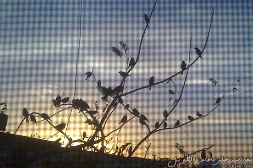 meeting_7305562554_o