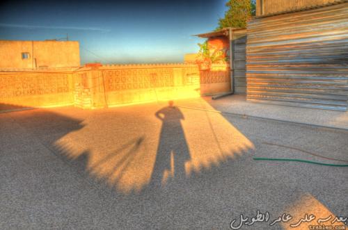 my-shadow_5020286073_o