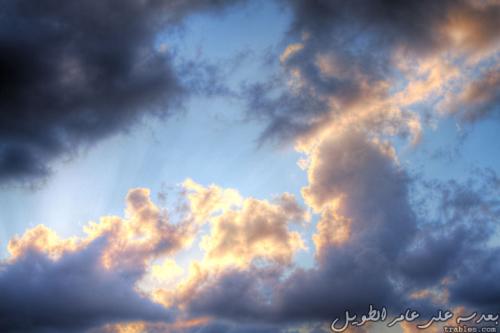 sun-silk_7017700719_o