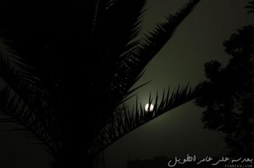 sunny-moon_4631575706_o