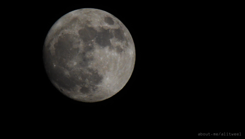 super-moon-of-2016_30960880225_o