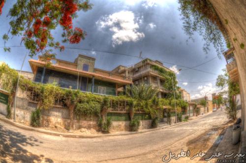 tweel-family-houses_4631575976_o