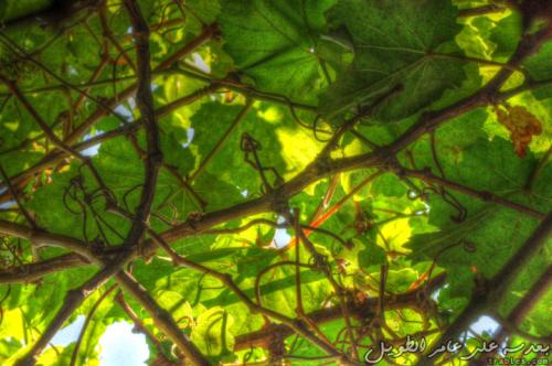 underneath_4630978231_o